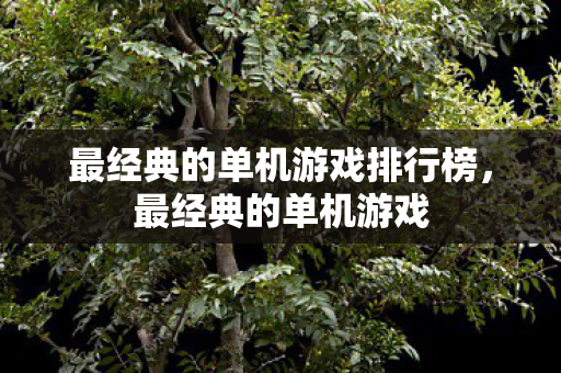 最经典的单机游戏排行榜，最经典的单机游戏