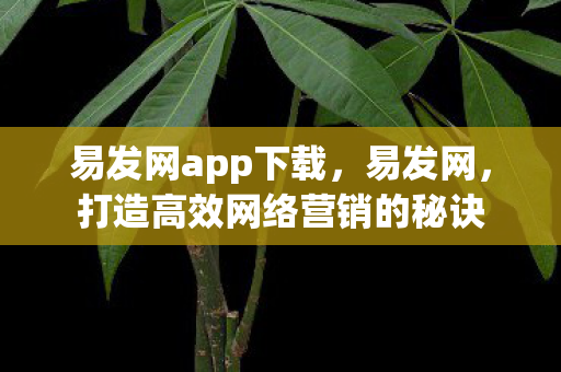 打造高效网络营销的秘诀图片