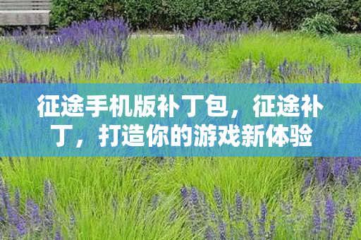 征途手机版补丁包，征途补丁，打造你的游戏新体验