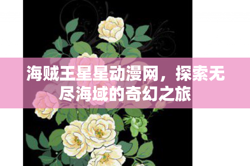 海贼王星星动漫网，探索无尽海域的奇幻之旅