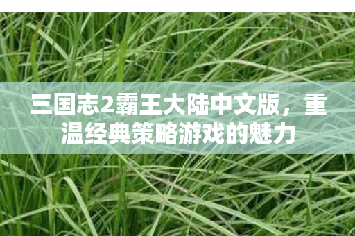 三国志2霸王大陆中文版，重温经典策略游戏的魅力