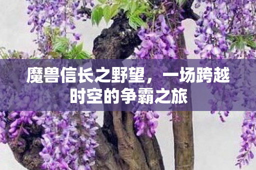 魔兽信长之野望，一场跨越时空的争霸之旅