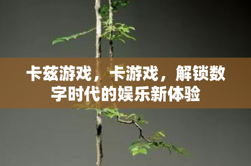 卡兹游戏，卡游戏，解锁数字时代的娱乐新体验
