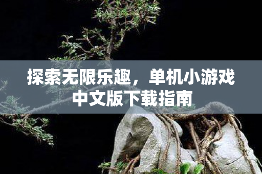 探索无限乐趣，单机小游戏中文版下载指南
