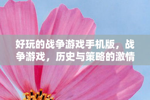 好玩的战争游戏手机版，战争游戏，历史与策略的激情碰撞