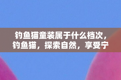 钓鱼猫童装属于什么档次，钓鱼猫，探索自然，享受宁静的户外生活