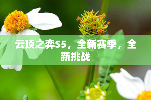 云顶之弈S5，全新赛季，全新挑战