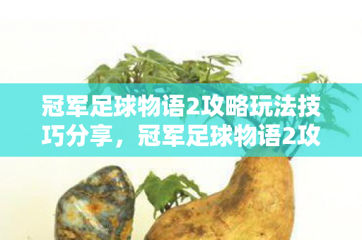 冠军足球物语2攻略玩法技巧分享，冠军足球物语2攻略，打造你的足球传奇