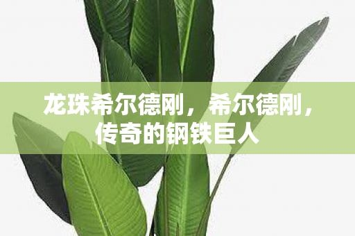 龙珠希尔德刚，希尔德刚，传奇的钢铁巨人