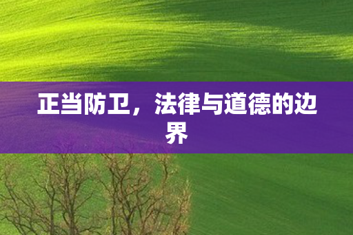 正当防卫，法律与道德的边界