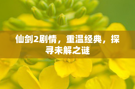 仙剑2剧情，重温经典，探寻未解之谜