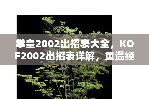 拳皇2002出招表大全，KOF2002出招表详解，重温经典格斗游戏的华丽招式
