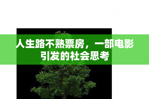 人生路不熟票房，一部电影引发的社会思考