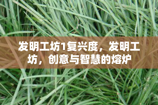 发明工坊1复兴度，发明工坊，创意与智慧的熔炉