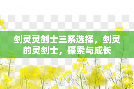 剑灵灵剑士三系选择，剑灵的灵剑士，探索与成长