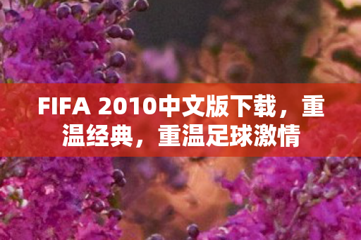 FIFA 2010中文版下载，重温经典，重温足球激情