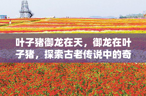 探索古老传说中的奇幻世界图片