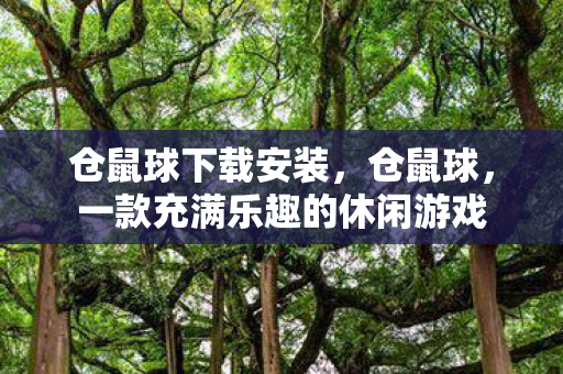 仓鼠球下载安装，仓鼠球，一款充满乐趣的休闲游戏