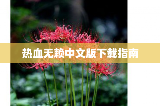 热血无赖中文版下载指南