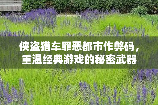 侠盗猎车罪恶都市作弊码，重温经典游戏的秘密武器