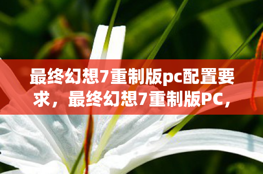 最终幻想7重制版pc配置要求，最终幻想7重制版PC，经典再现，重塑经典