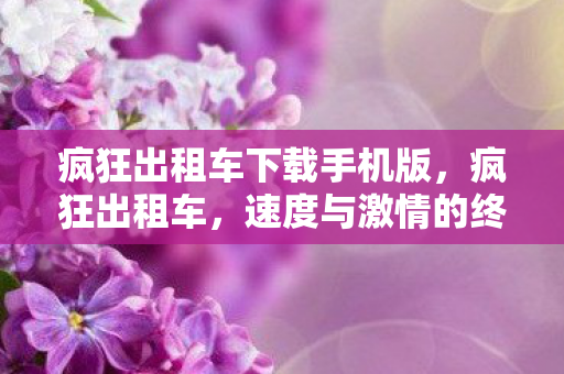 疯狂出租车下载手机版，疯狂出租车，速度与激情的终极体验