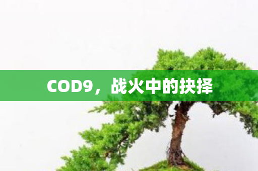 COD9，战火中的抉择