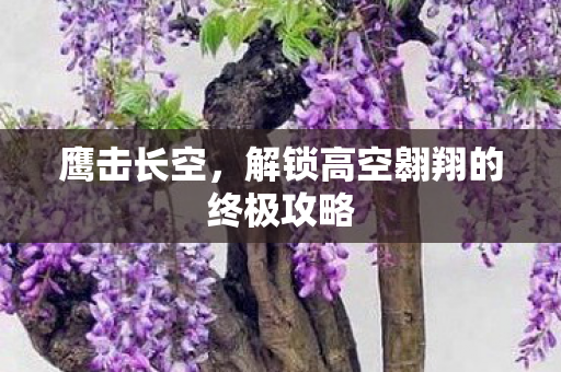 鹰击长空,解锁高空翱翔的终极攻略 鹰击长空,解锁高空翱翔的终极攻略