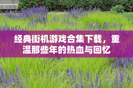 经典街机游戏合集下载,重温那些年的热血与回忆 经典街机游戏合集下载,重温那些年的热血与回忆