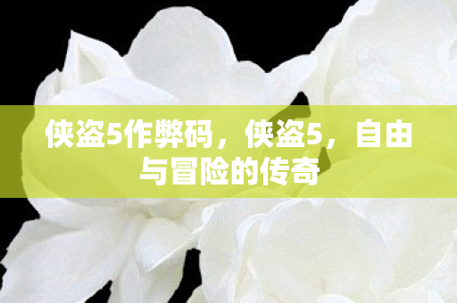 侠盗5作弊码，侠盗5，自由与冒险的传奇