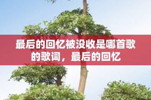 最后的回忆被没收是哪首歌的歌词，最后的回忆