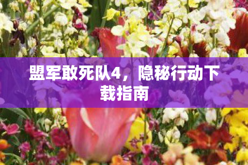 盟军敢死队4,隐秘行动下载指南 盟军敢死队4,隐秘行动下载指南