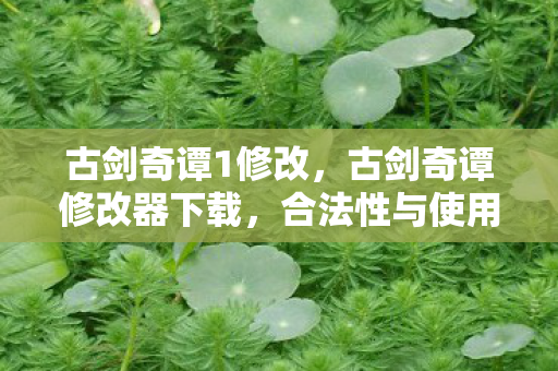 古剑奇谭1修改，古剑奇谭修改器下载，合法性与使用注意事项