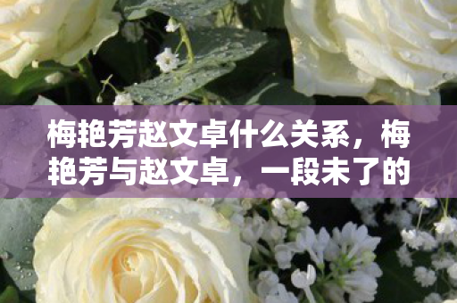 梅艳芳赵文卓什么关系，梅艳芳与赵文卓，一段未了的情缘