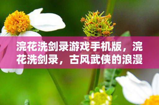 浣花洗剑录游戏手机版，浣花洗剑录，古风武侠的浪漫邂逅