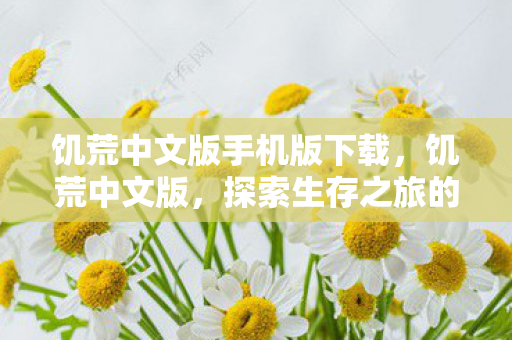 饥荒中文版手机版下载，饥荒中文版，探索生存之旅的中文新篇章