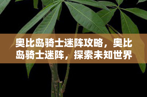 探索未知世界的奇幻之旅图片