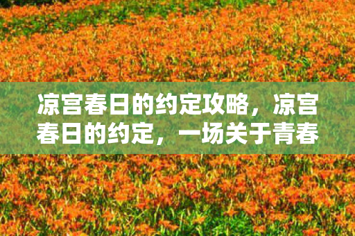 凉宫春日的约定攻略，凉宫春日的约定，一场关于青春与梦想的奇幻旅程