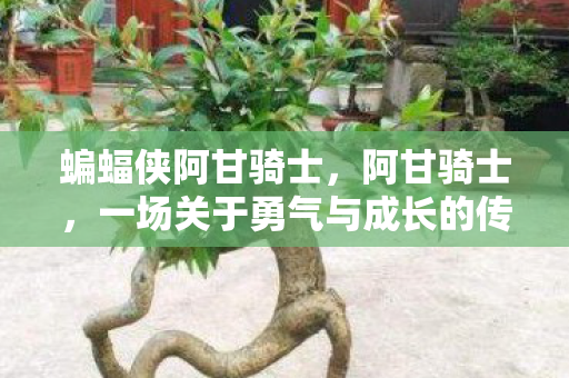 蝙蝠侠阿甘骑士,阿甘骑士,一场关于勇气与成长的传奇之旅 蝙蝠侠阿甘骑士,阿甘骑士,一场关于勇气与成长的传奇之旅