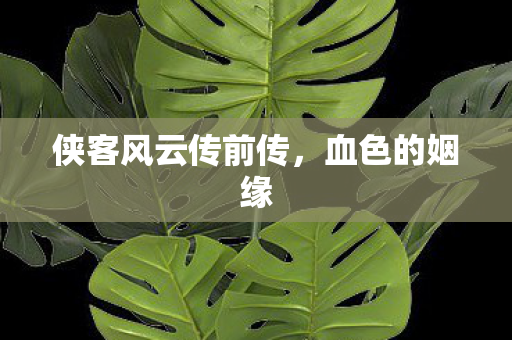 侠客风云传前传，血色的姻缘