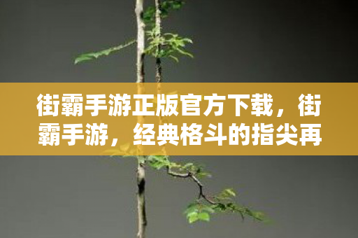 街霸手游正版官方下载,街霸手游,经典格斗的指尖再现 街霸手游正版官方下载,街霸手游,经典格斗的指尖再现