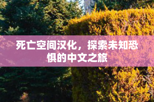 死亡空间汉化，探索未知恐惧的中文之旅