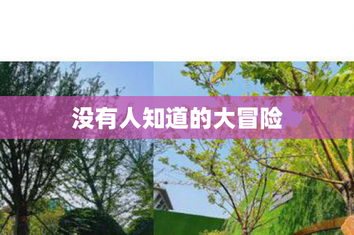 没有人知道的大冒险