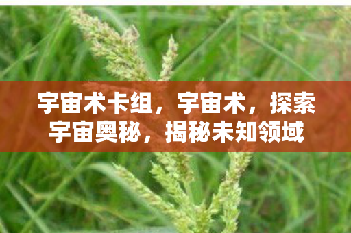 宇宙术卡组，宇宙术，探索宇宙奥秘，揭秘未知领域