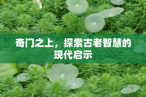奇门之上,探索古老智慧的现代启示 奇门之上,探索古老智慧的现代启示
