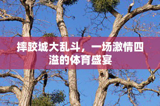 摔跤城大乱斗，一场激情四溢的体育盛宴