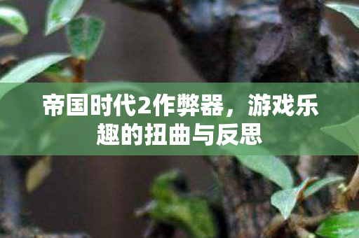 帝国时代2作弊器,游戏乐趣的扭曲与反思 帝国时代2作弊器,游戏乐趣的扭曲与反思