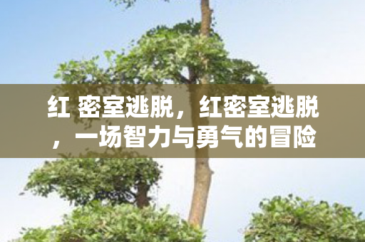 一场智力与勇气的冒险图片