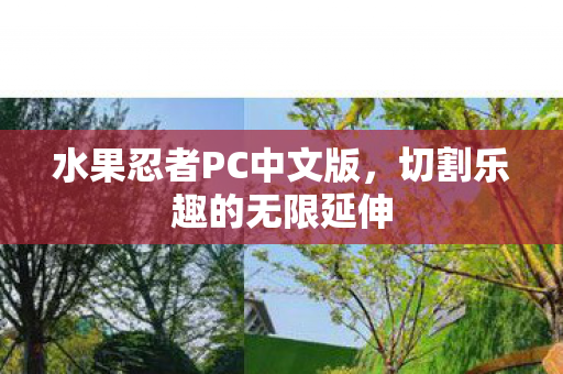 水果忍者PC中文版，切割乐趣的无限延伸