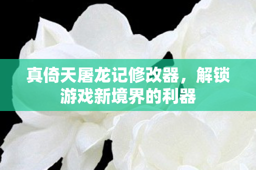 真倚天屠龙记修改器，解锁游戏新境界的利器